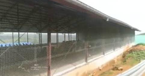 Ferme  Malulu 123 hectares 7.380.000